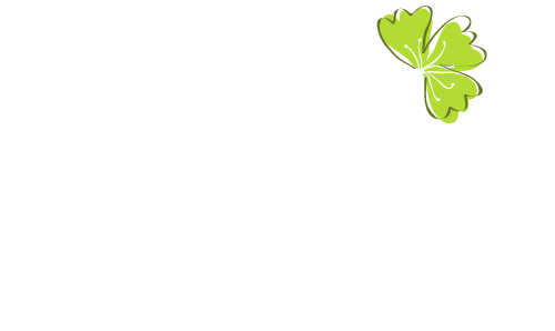 SOCAMI | NATURAL SOAP BARS